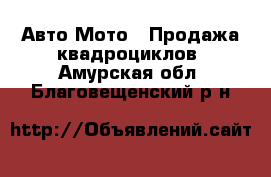 Авто Мото - Продажа квадроциклов. Амурская обл.,Благовещенский р-н